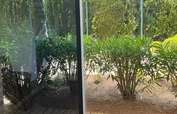 Before and after comparison of window solar film tinting, garden view reduced glare